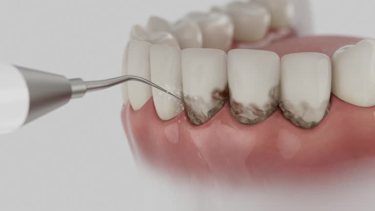 Reliable Dental contractor in Dale, IN by Dentist Open Now